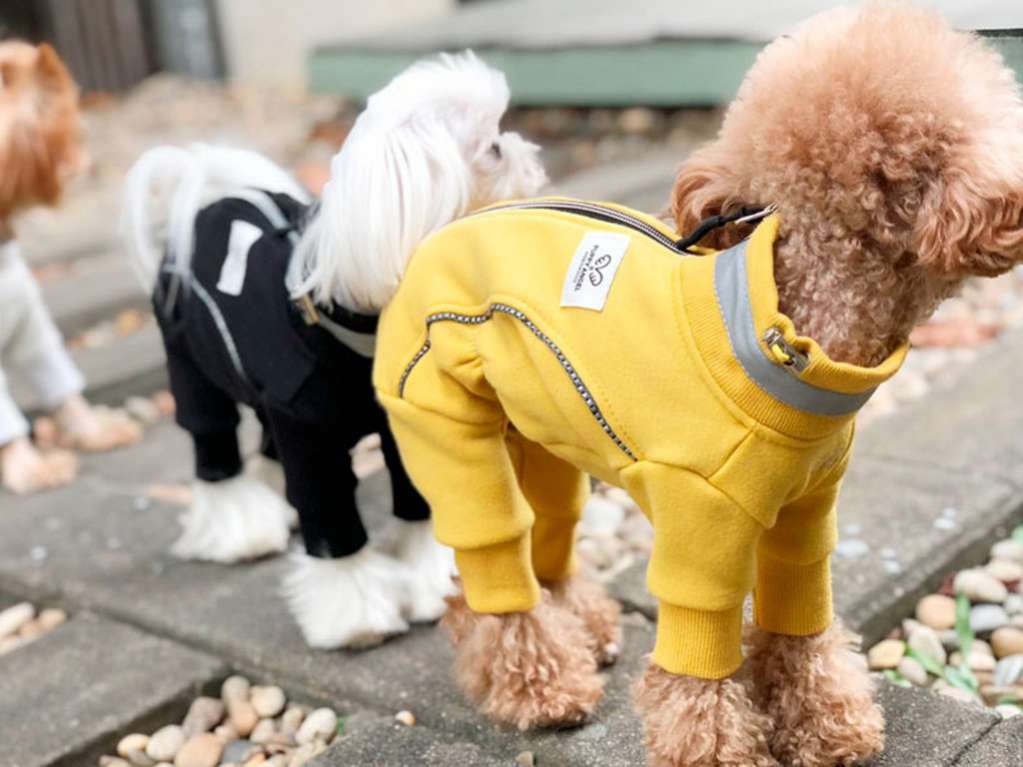 Костюм для собак PuppyAngel Спорт