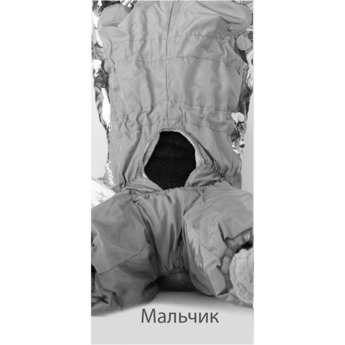 Комбинезон для таксы и корги ForMyDogs Густав