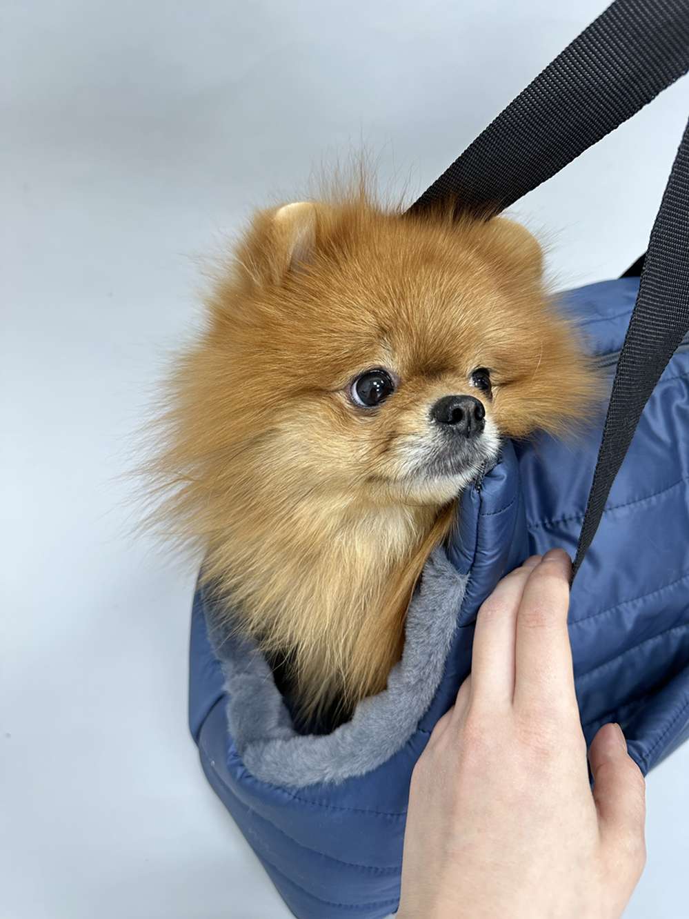 Сумка для собак Puffy Дакота синяя