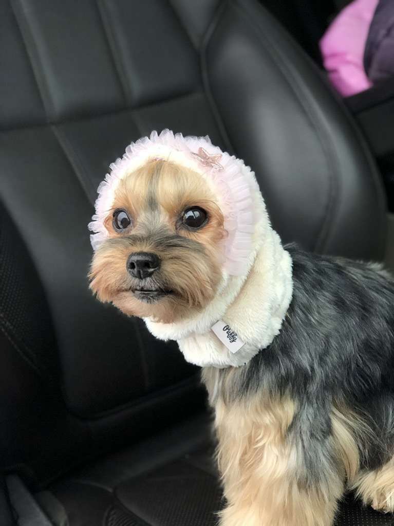 Шапка для собак Капор Puffy Фея