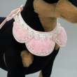 Декоративный воротник Pet Нежность