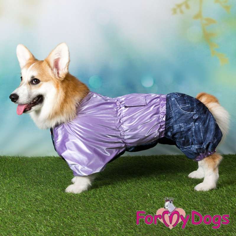 Дождевик для таксы и корги ForMyDogs Джинса