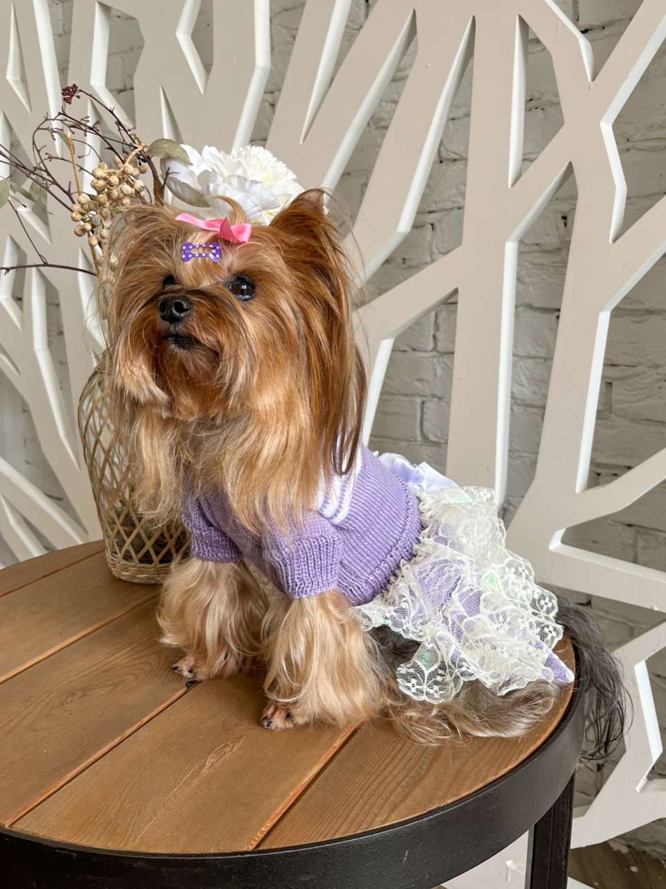 Шерстяное платье для собак Puffy Джулия