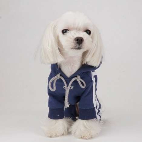 Костюм для собак трикотажный PA Спортик