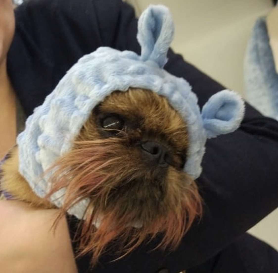 Шапка для собаки Капор Puffy Минки