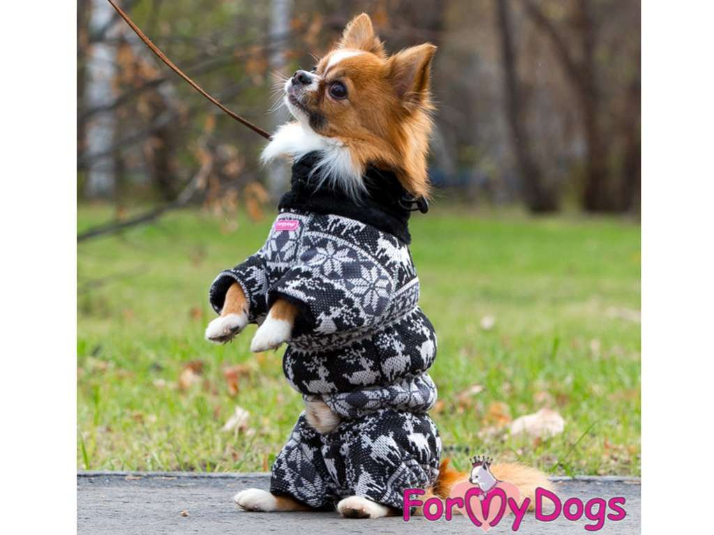 Комбинезон для собак шубка ForMyDogs Норфолк