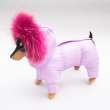 Зимний комбинезон для собак Северное сияние Люпин