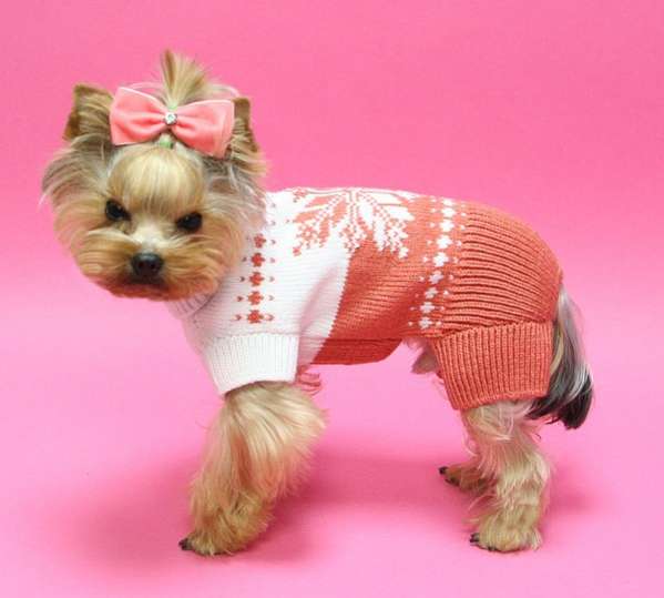 Шерстяной костюм для собак Звездочка