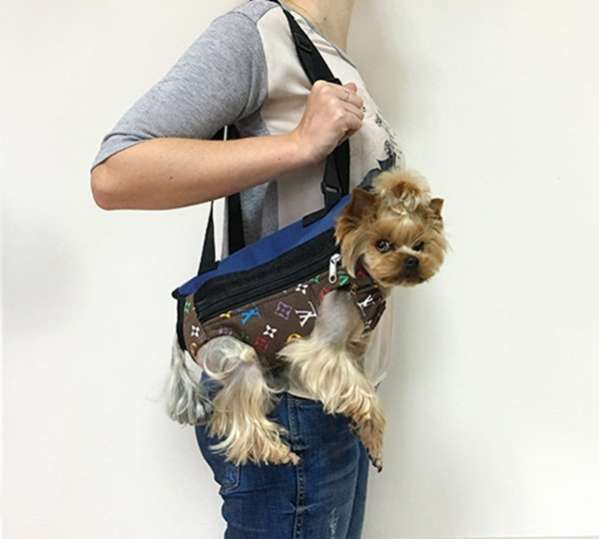 Рюкзак для собак на 4 лапы