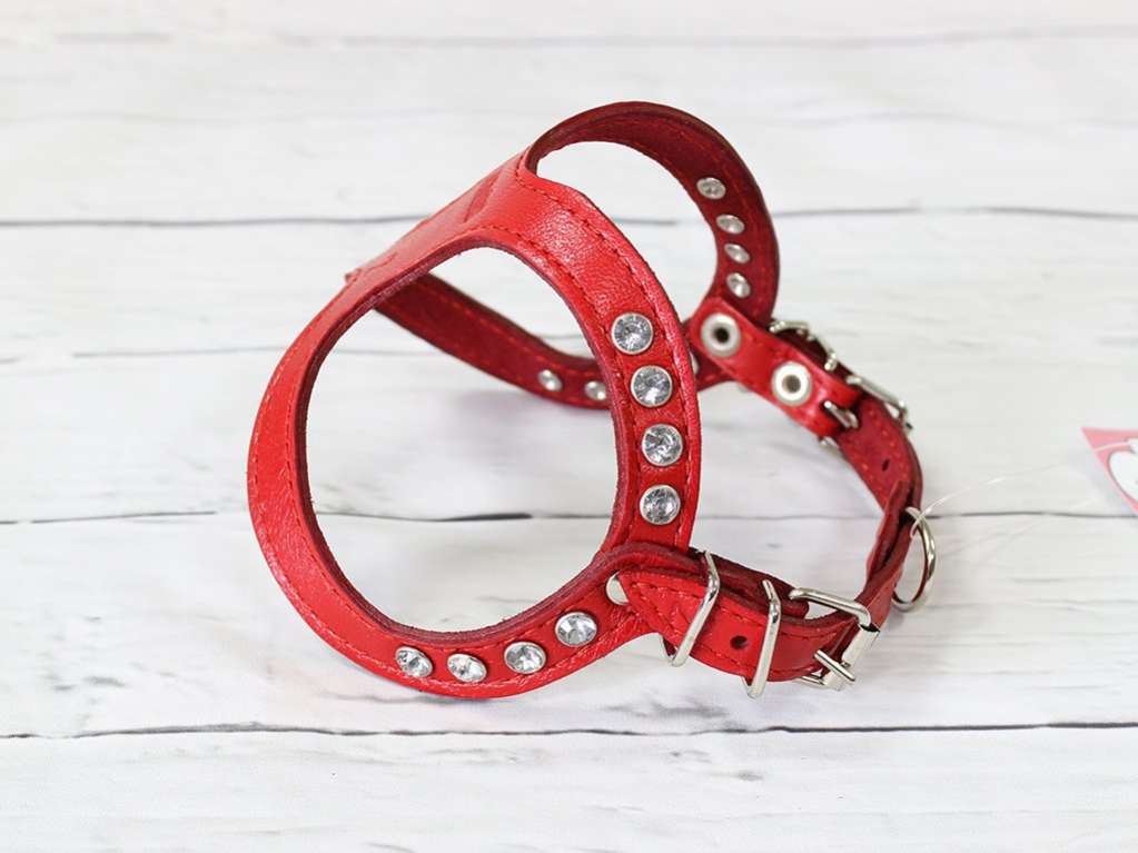 Кожаная шлейка для собак Очки со стразами