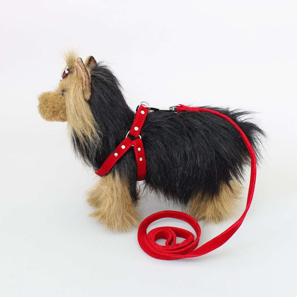 Поводок и шлейка для собаки Pet Зуми