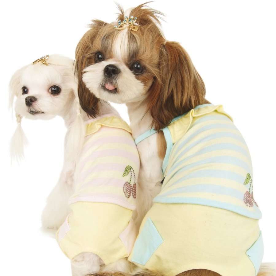 Костюм для собак PuppyAngel Вишенка