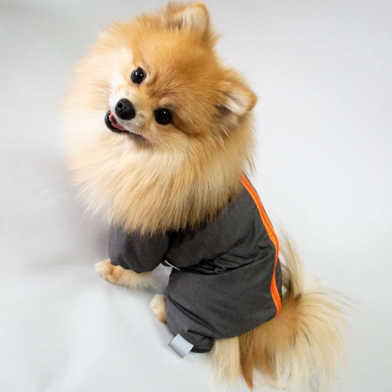 Дождевик для собаки утепленный Puffy Фит