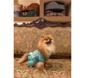 Шерстяной костюм для собак Сердечки