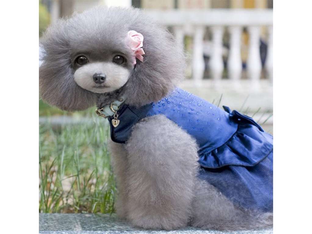 Праздничное платье для собак Pet Стразы