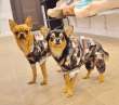 Дождевик для собаки Pet Милитари