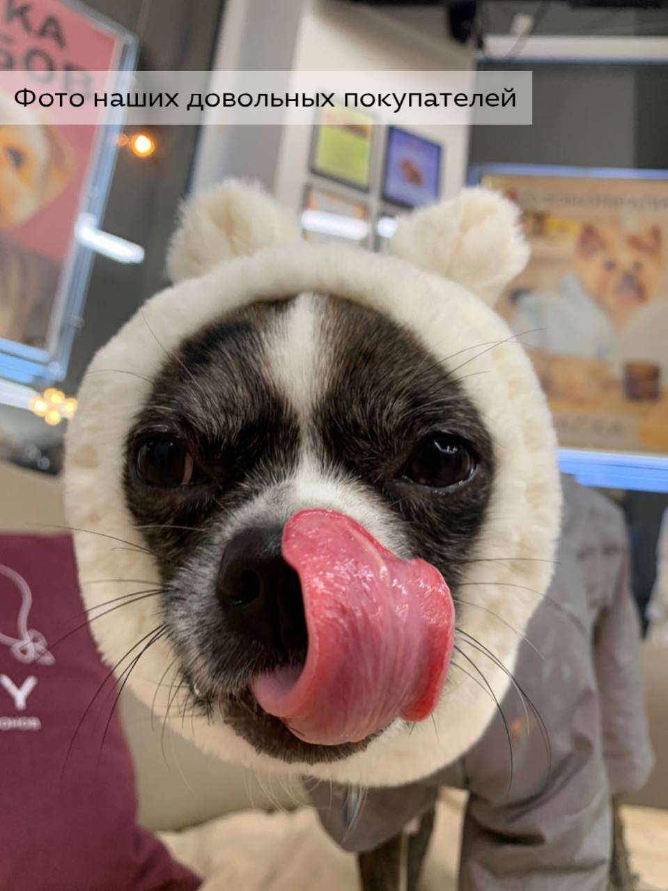 Шапка для собаки Капор Puffy Мишка