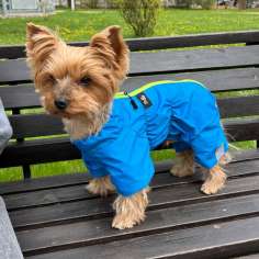 Дождевик для собаки Puffy Лайт голубой