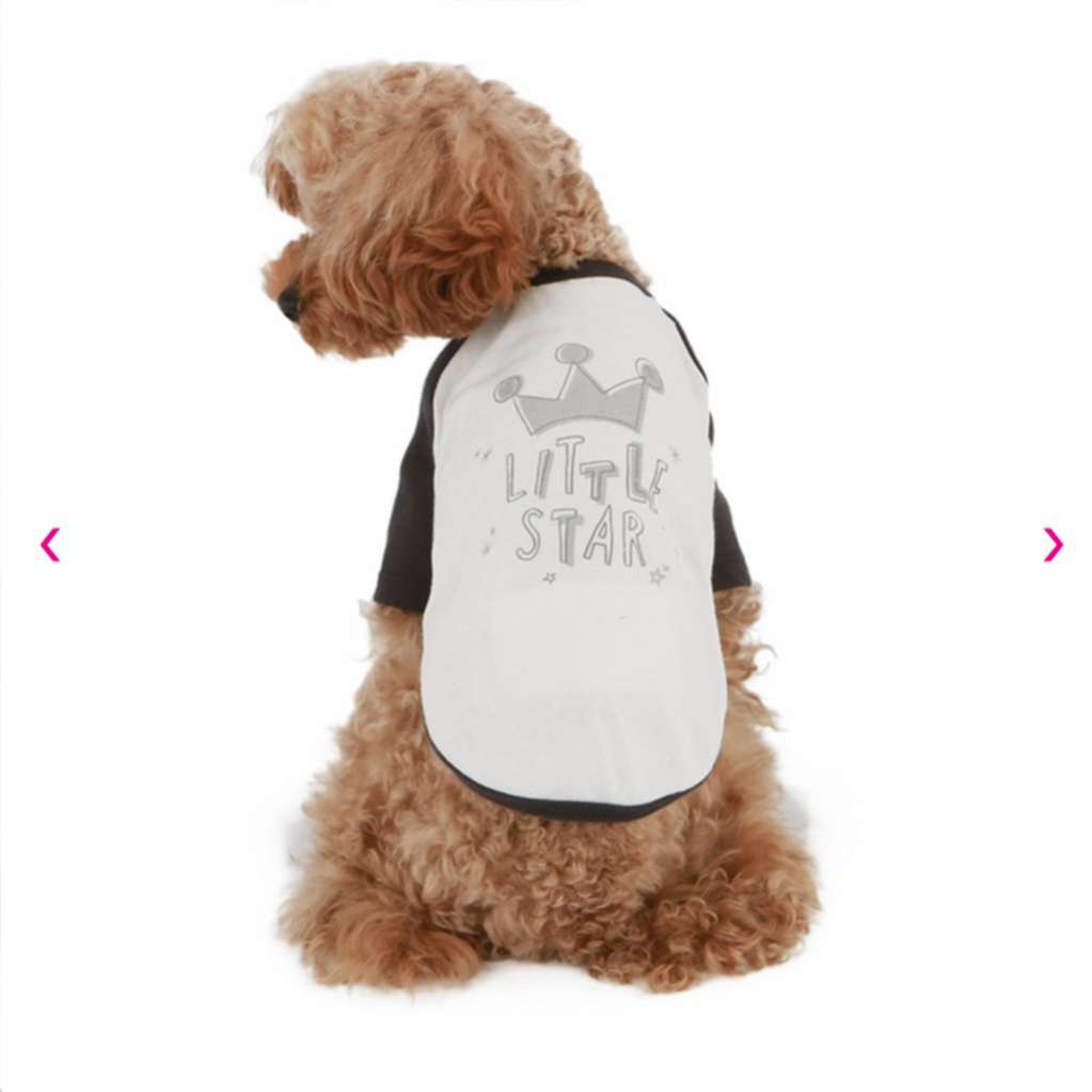 Футболка для собаки Puppy Angel Little Star