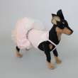 Платье для собак Pet Бурлеск