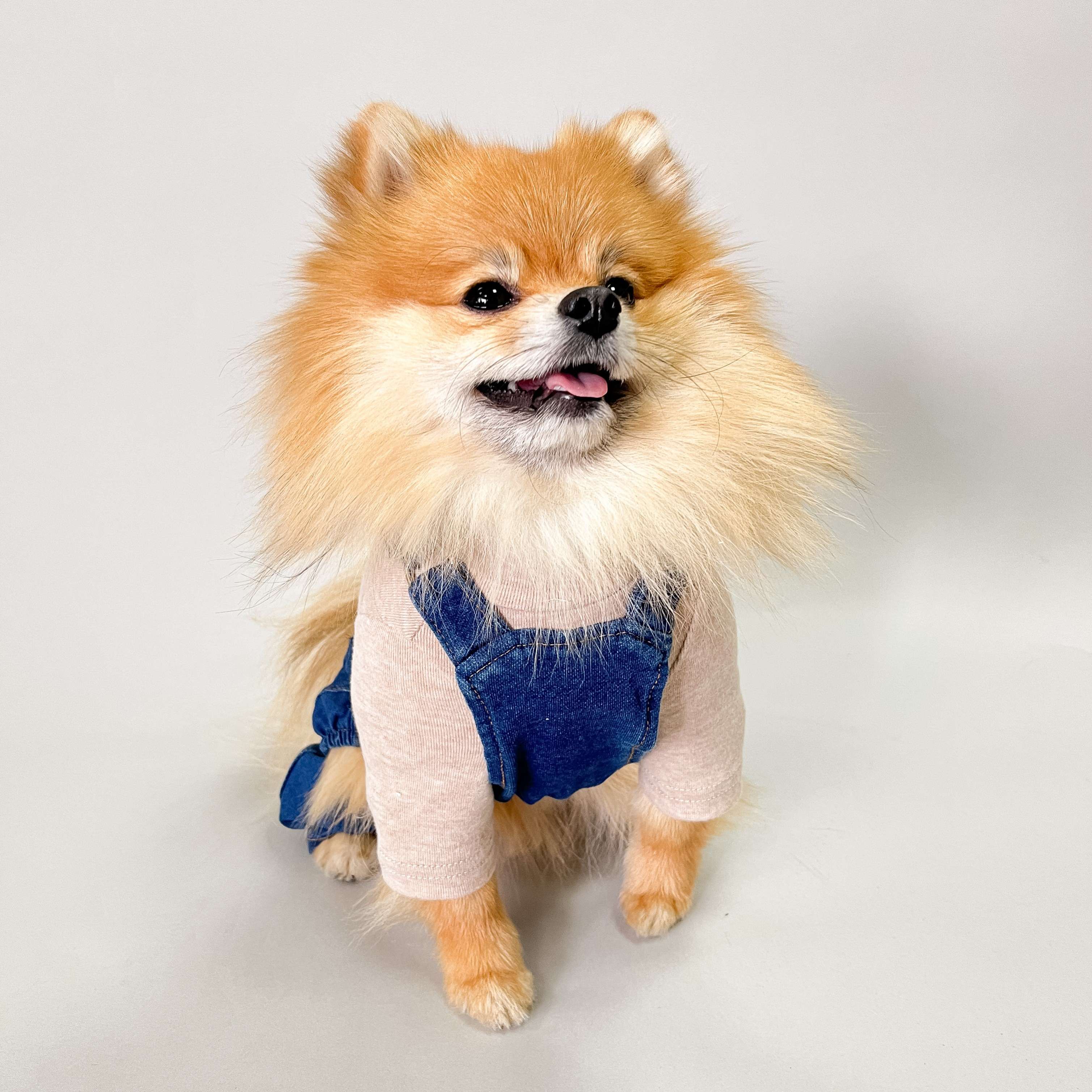 Комбинезон для собак джинсовый Pet Марио