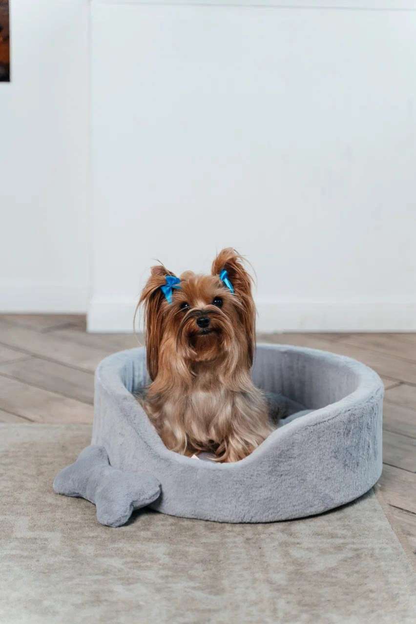 [Лежак] Лежанка для собак Puffy Сумерки