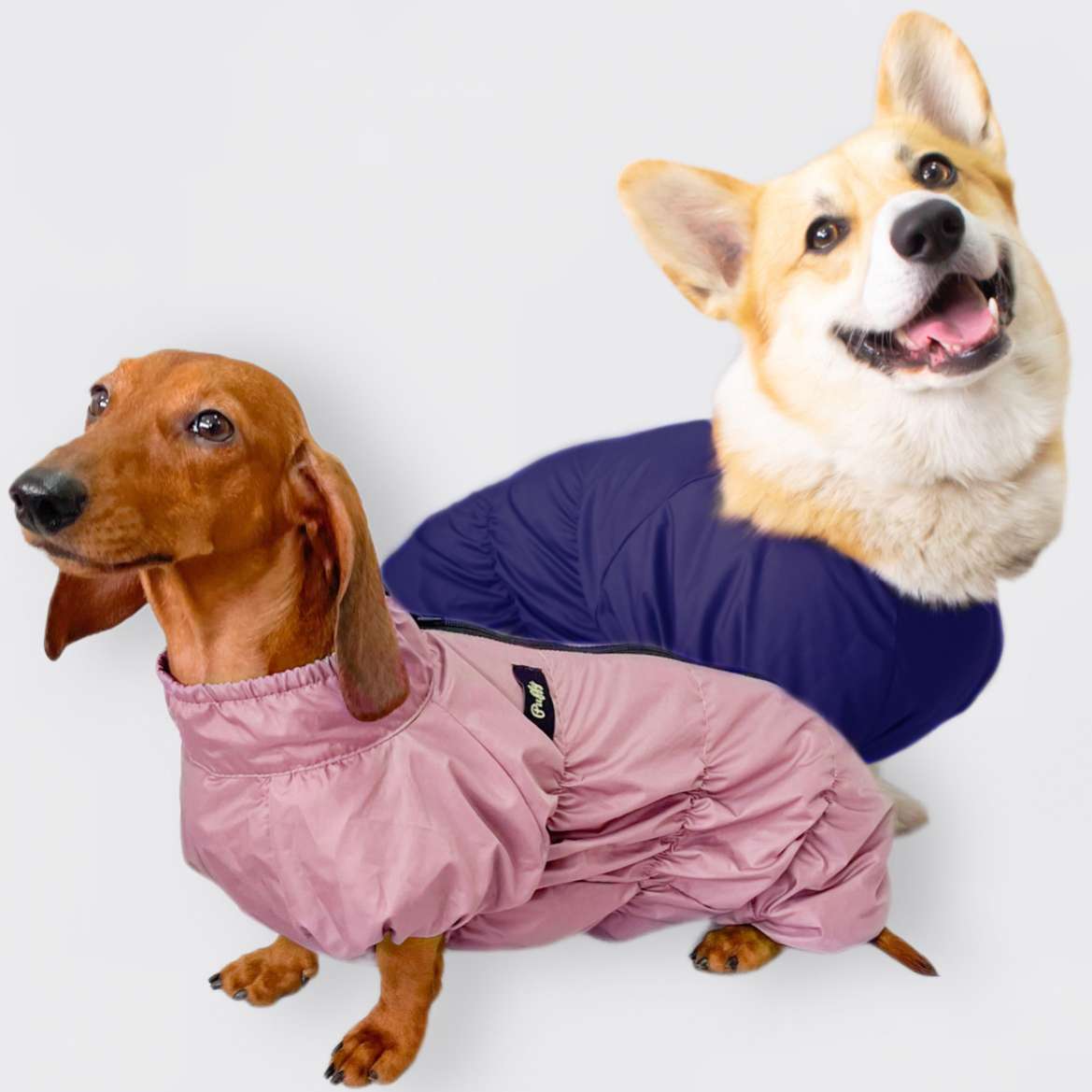 Дождевик для таксы и корги утепленный Puffy Норд синий