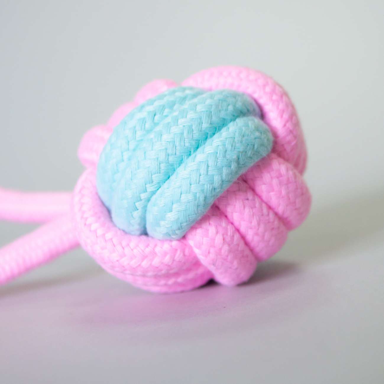 Игрушка для собак Мяч на веревке