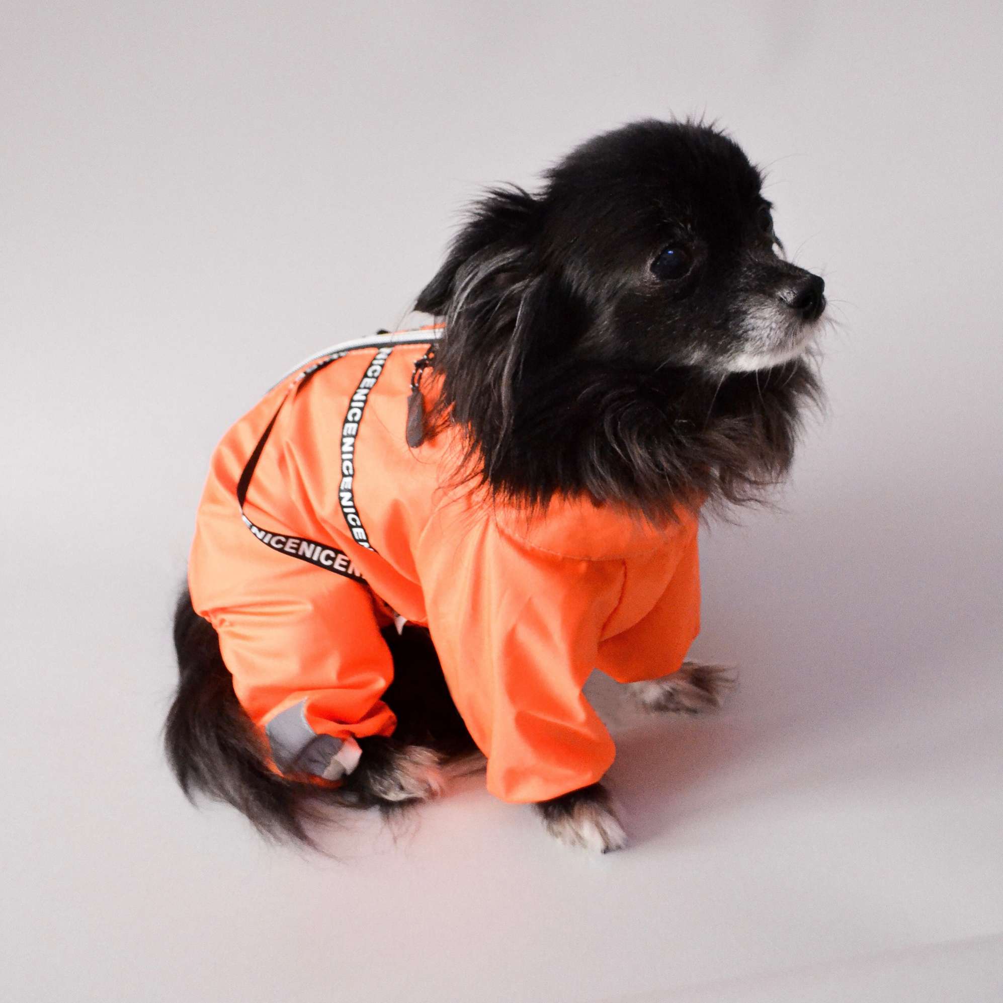 Дождевик для собаки Puffy Найс