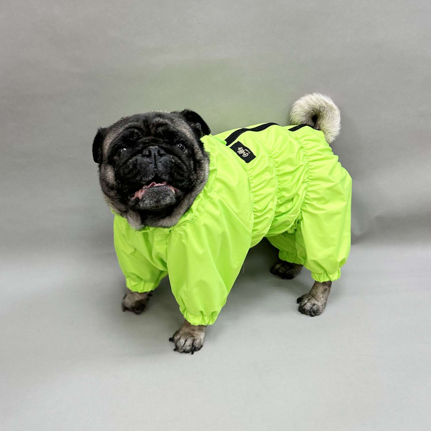 Дождевик для собак Puffy для мопсов и бульдогов салат