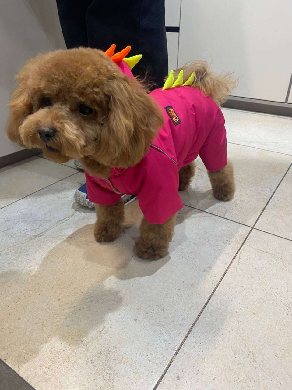 Комбинезон для собак Puffy Дино Малиновый