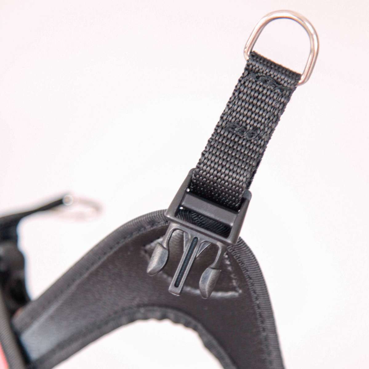 Шлейка для собак Практиш с застежкой