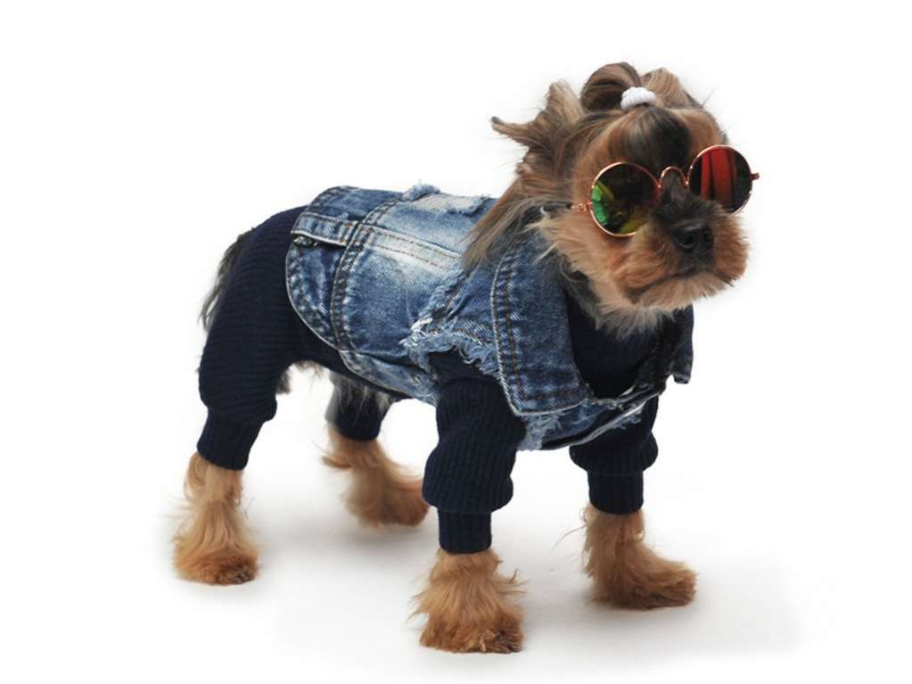 Джинсовка для собак Pet Стиляга