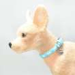 Ошейник для собак ForMyDogs Кнопки