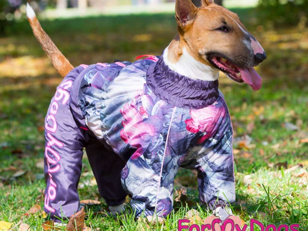 Комбинезон для собак на широкую грудь Magic