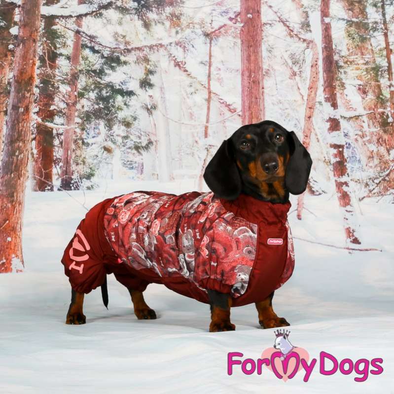 Комбинезон для таксы и корги ForMyDogs Мишки