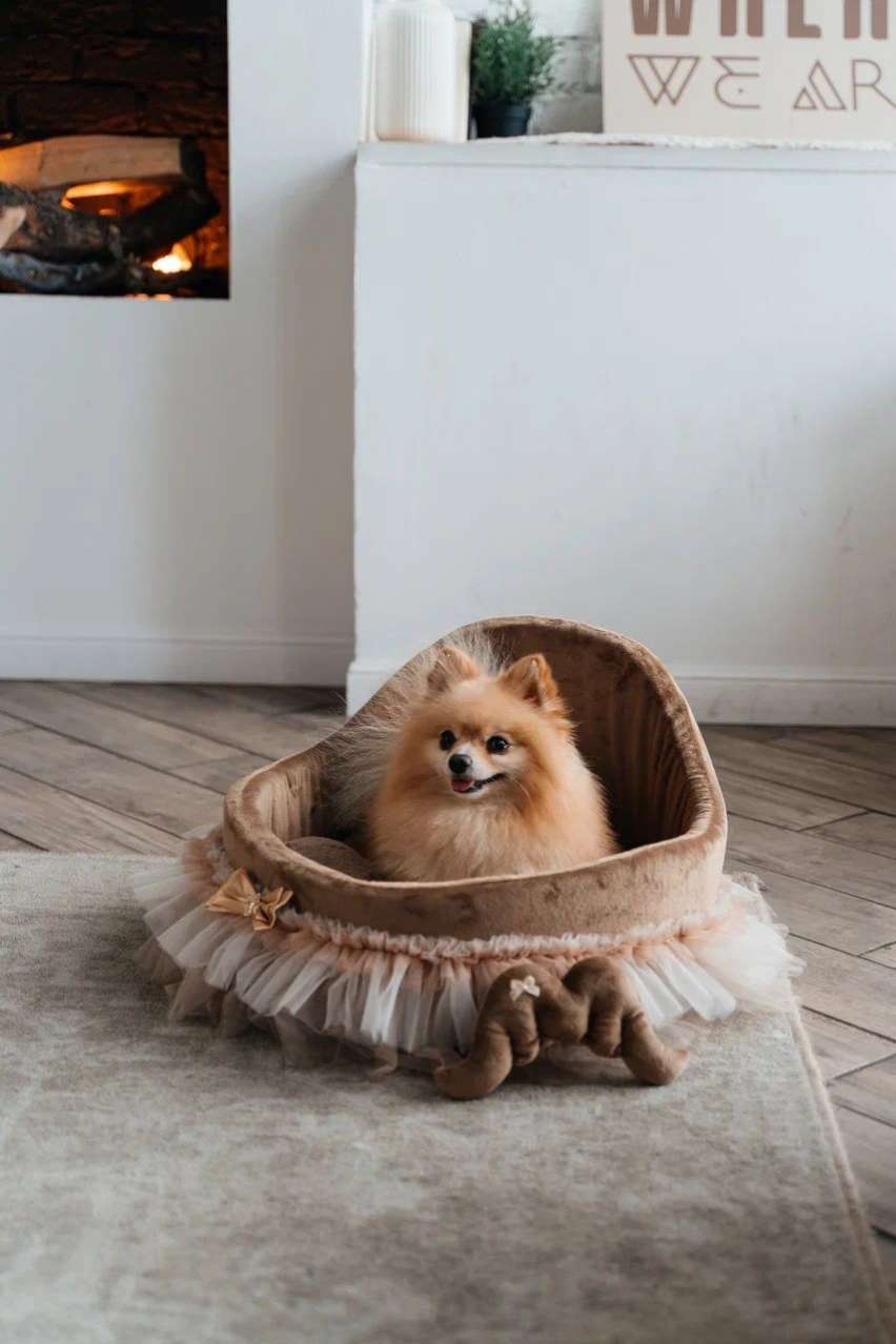 [Лежак] Лежанка для собак со спинкой Puffy Мокко