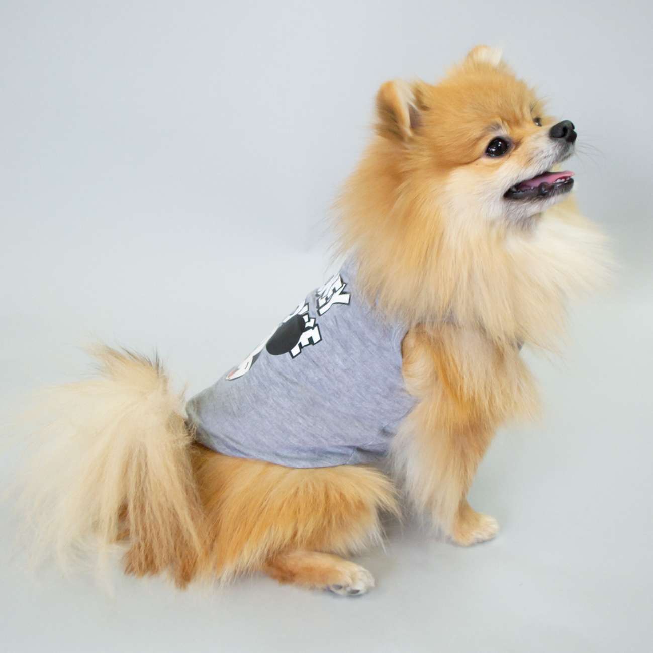 Майка для собаки Pet Микки