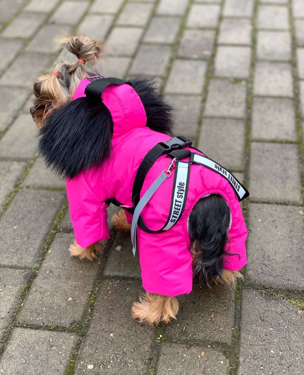 Зимний комбинезон для собак Premium Скай