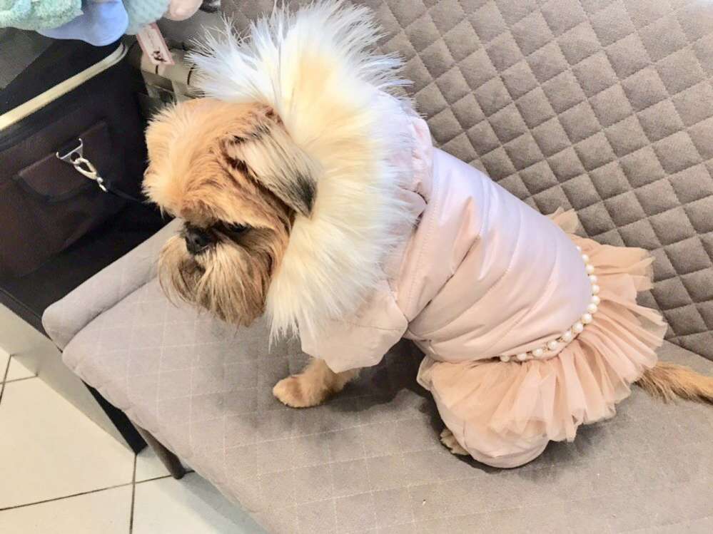 Комбинезон для собак Puffy Айвори