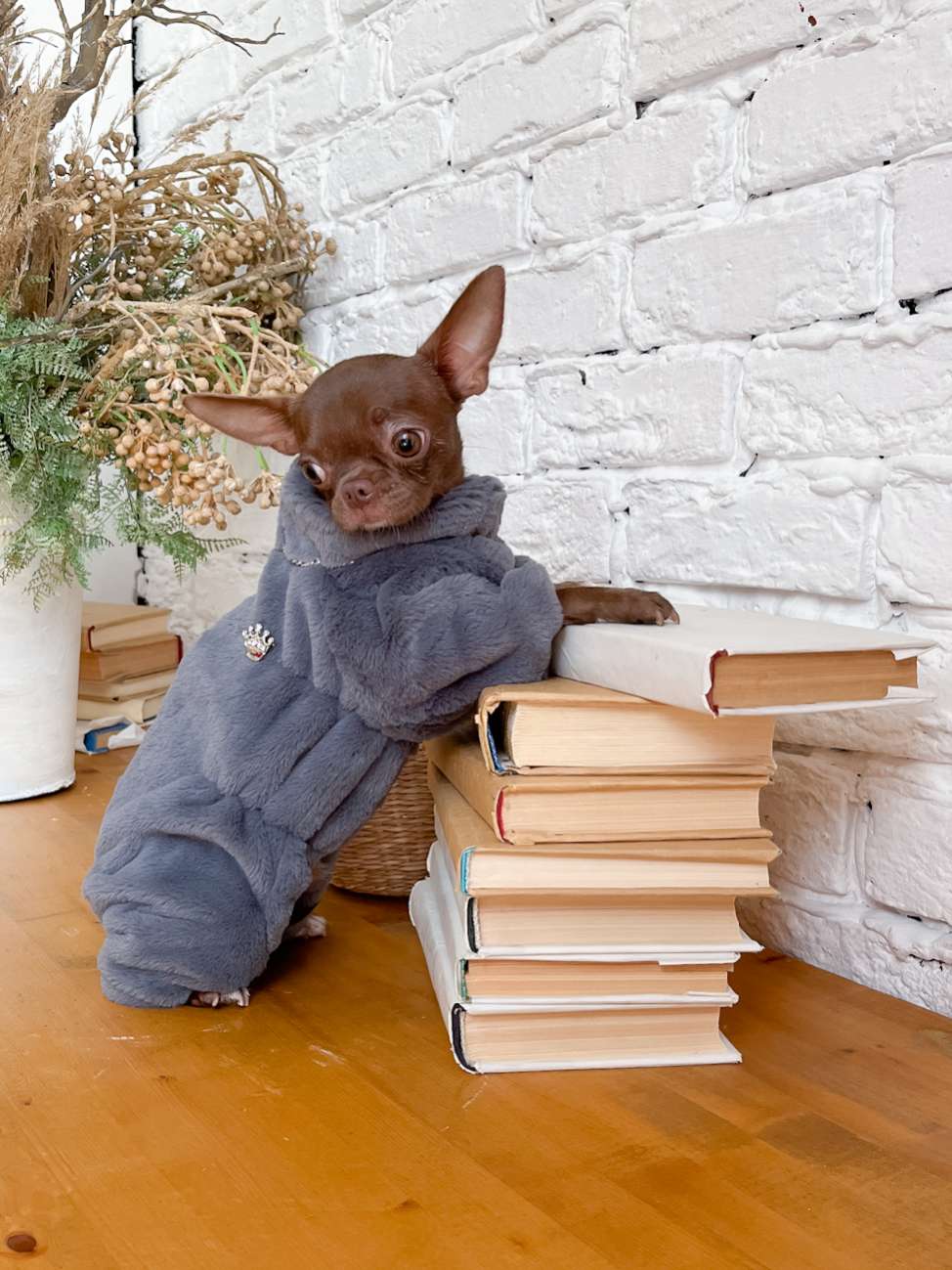 Шуба для собак для собак Puffy Морозка Маренго