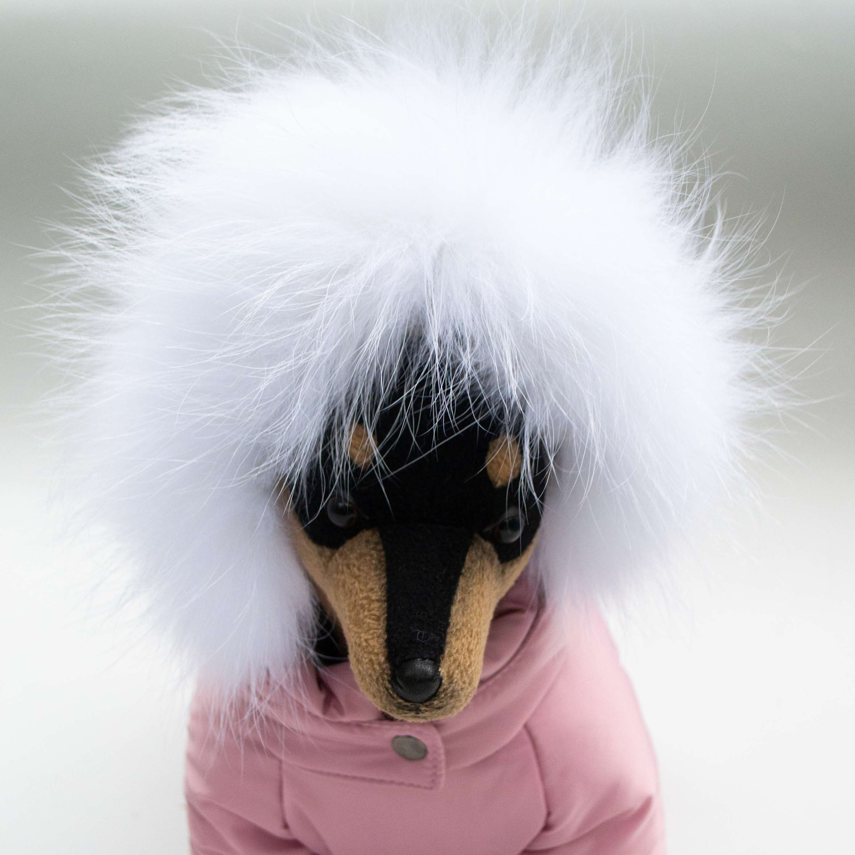 Зимний комбинезон для собак Северное сияние Клевер