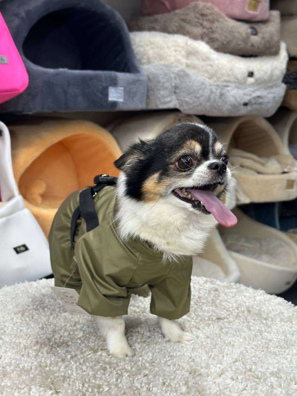 Утепленный дождевик для собак Puffy Фикс со шлейкой хаки