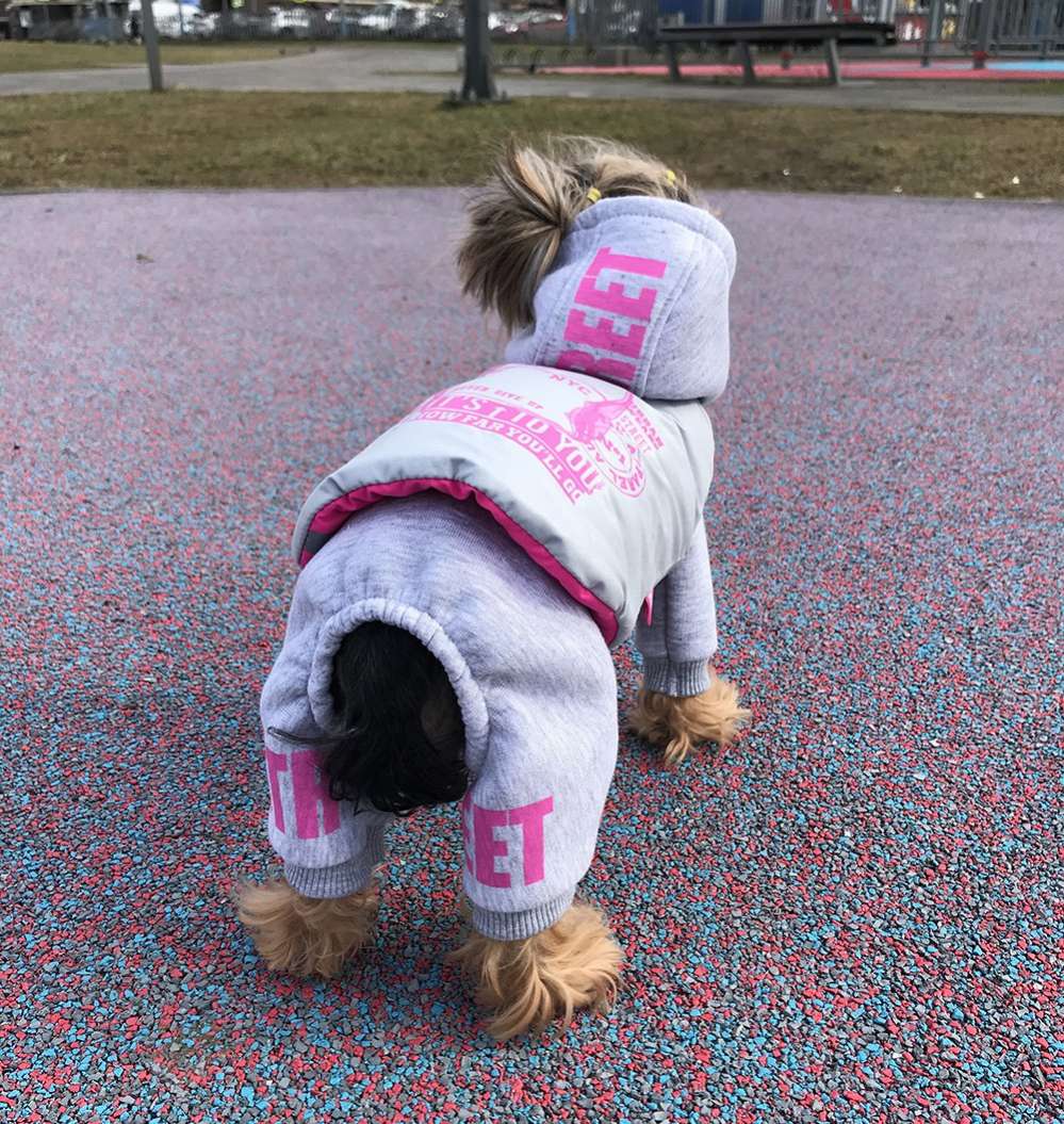 Комплект костюм и жилет для собаки Premium Неон