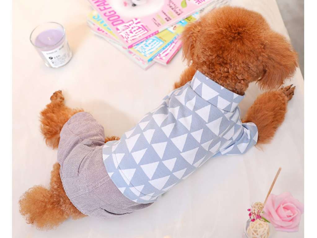 Костюм для собак Pet Пиф