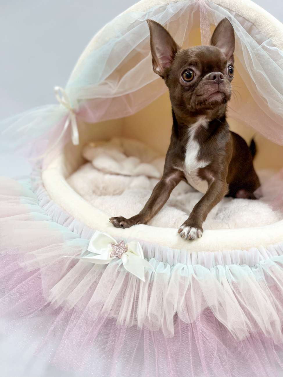 Домик для собаки со шторками Puffy Мэджик