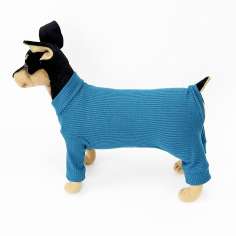 Костюм-боди для собак Puffy Лапша Море