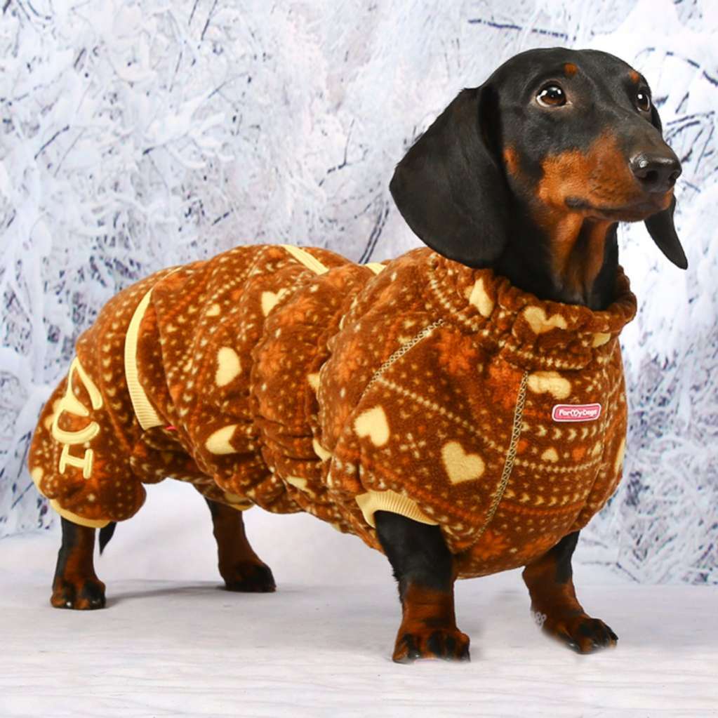 Комбинезон для таксы и корги флисовый ForMyDogs Пряник