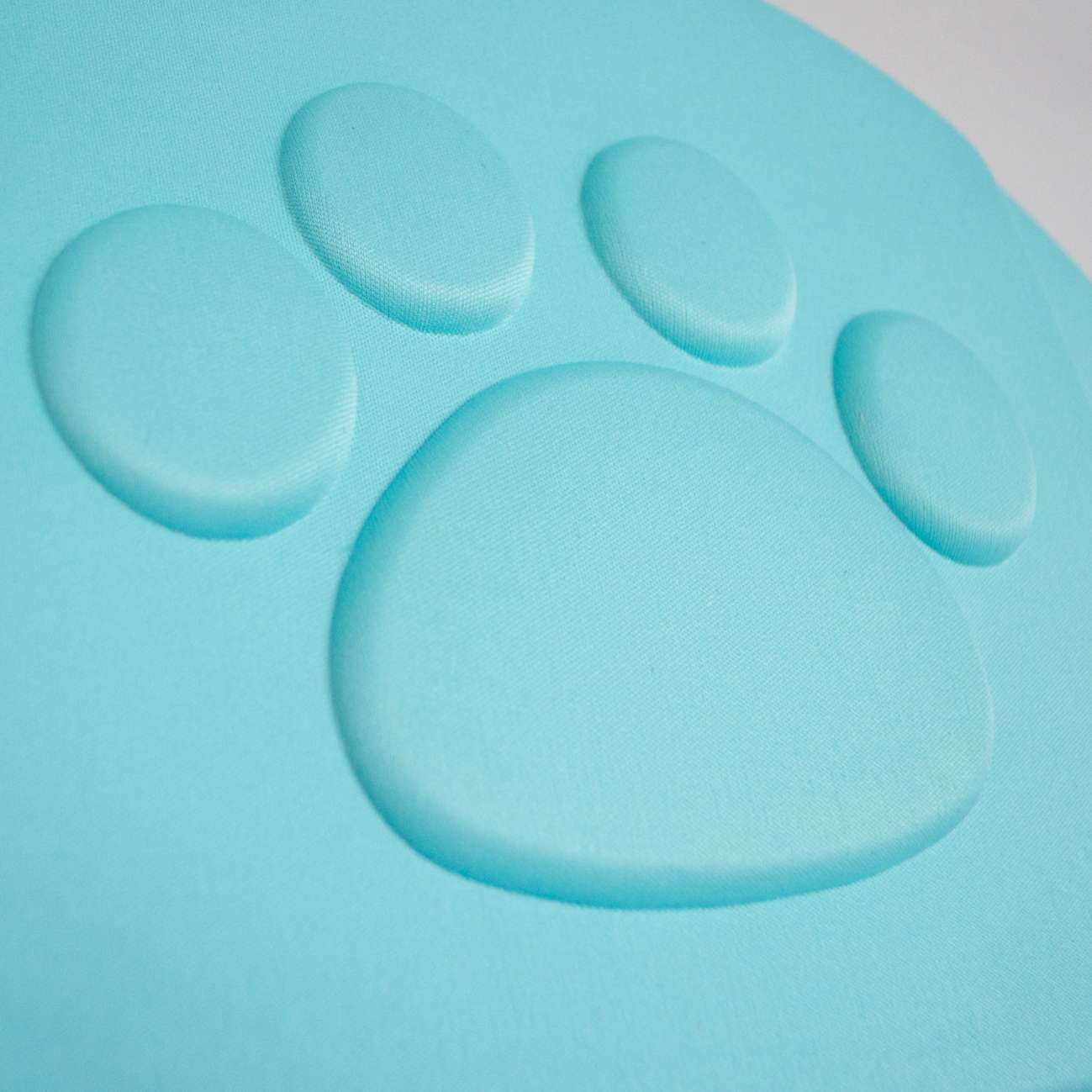 Переноска для собак Pet Лапа