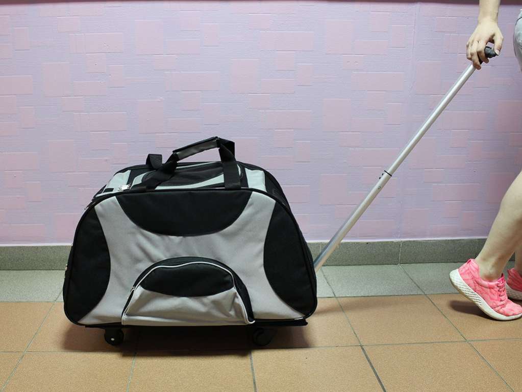 Чемодан для собак на колесах Комфорт